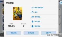 平安最新大爆料下载安装,下载安装背后的秘密与惊喜